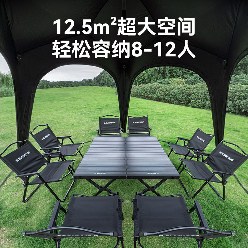 BLACKDOG黑狗户外穹顶五边形速开天幕自动帐篷露营懒人黑胶遮阳棚,淘宝优惠券,粉丝福利购,淘宝优惠卷