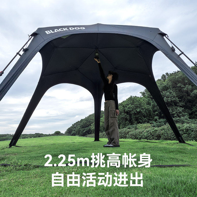 BLACKDOG黑狗户外穹顶五边形速开天幕自动帐篷露营懒人黑胶遮阳棚,淘宝优惠券,粉丝福利购,淘宝优惠卷