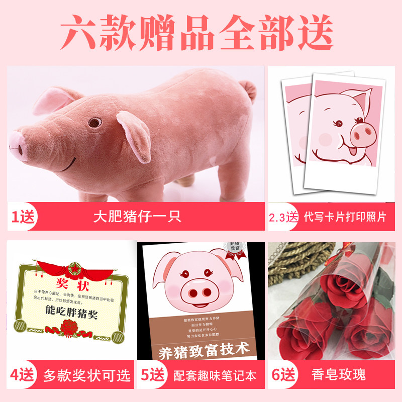  吕菜食品膨化食品