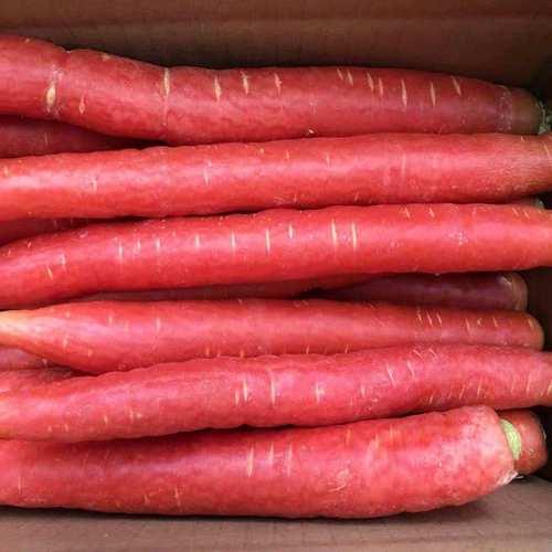 Sichuan Carrot Fresh Бесплатная доставка песчаная фруктовая морковь фермер овощное красное сердце хрустящее сладкое песчаное гнездо сладкая редька