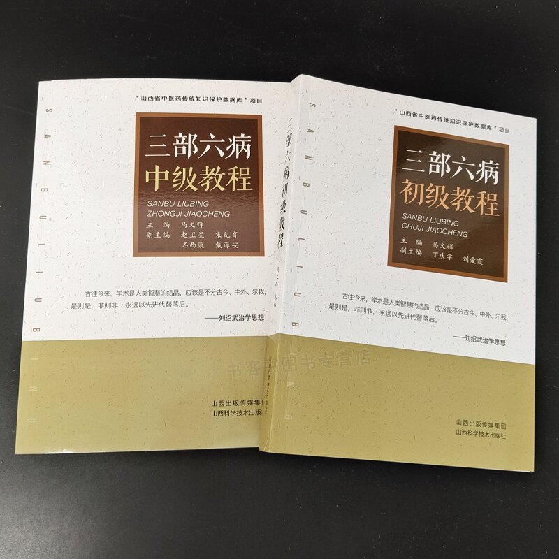 全4册 三部六病普及初级中级高级教程 刘绍武医学文集三部六病传讲录讲座伤寒论条文全解析辨证精义中医临床中医经典教程书籍 - 图1