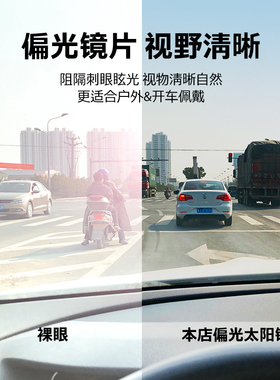 偏光太阳镜高级感痞帅钓鱼墨镜司机驾驶开车专用眼镜飞行员蛤蟆镜