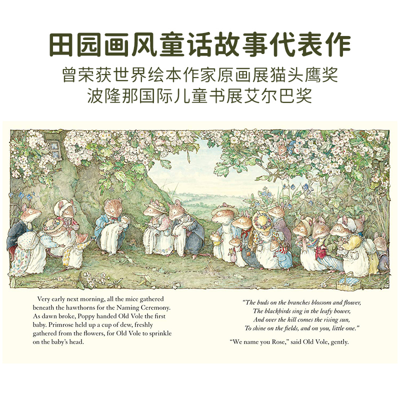 Adventures In Brambly Hedge 野蔷薇村的历险故事英文原版4册精装 限量-四十周年纪念版 原版进口绘本 英语启蒙 - 图1