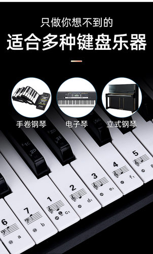 透明88键钢琴键盘贴37/49/54/61键电子琴琴键贴儿童成人五线简谱 - 图3