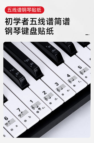 透明88键钢琴键盘贴37/49/54/61键电子琴琴键贴儿童成人五线简谱 - 图2
