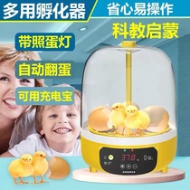 Small Chicken Incubators Small Home Luding Chicken Quail Pigeon House Poultry Egg Children Fully Automatic Intelligent Hatching Box