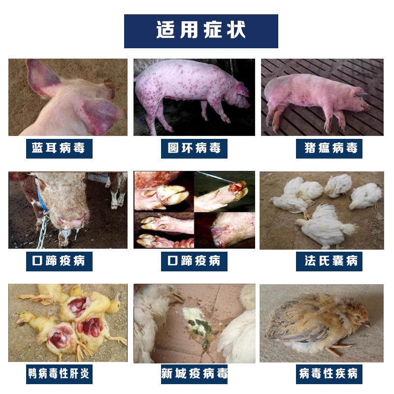 迅销抗病毒一号粉牛羊猪用药一号圆环非瘟母猪保健抗病毒粉兽用,淘宝优惠券,粉丝福利购,淘宝优惠卷