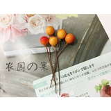 Eternal Life Flower DIY Multi -Color In -Fruit Material Accessories