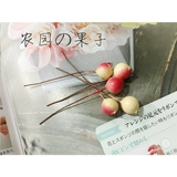 Eternal Life Flower DIY Multi -Color In -Fruit Material Accessories