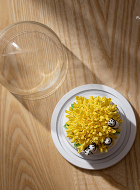 花花世界客厅陶瓷夫己