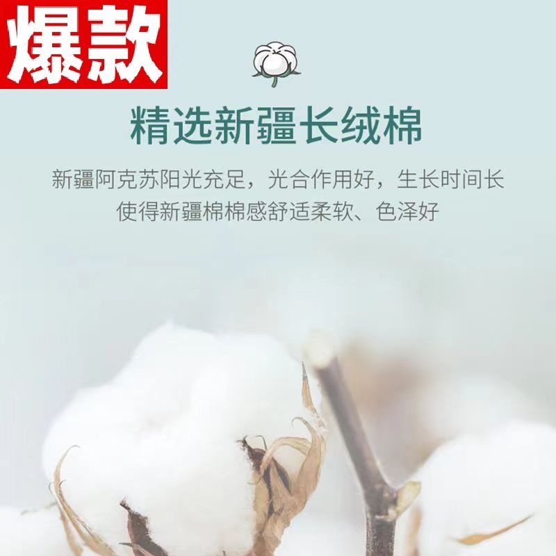 新疆长绒棉内裤女士纯棉全棉裆抗菌透气高腰包臀女生短裤大码胖mm,淘宝优惠券,粉丝福利购,淘宝优惠卷