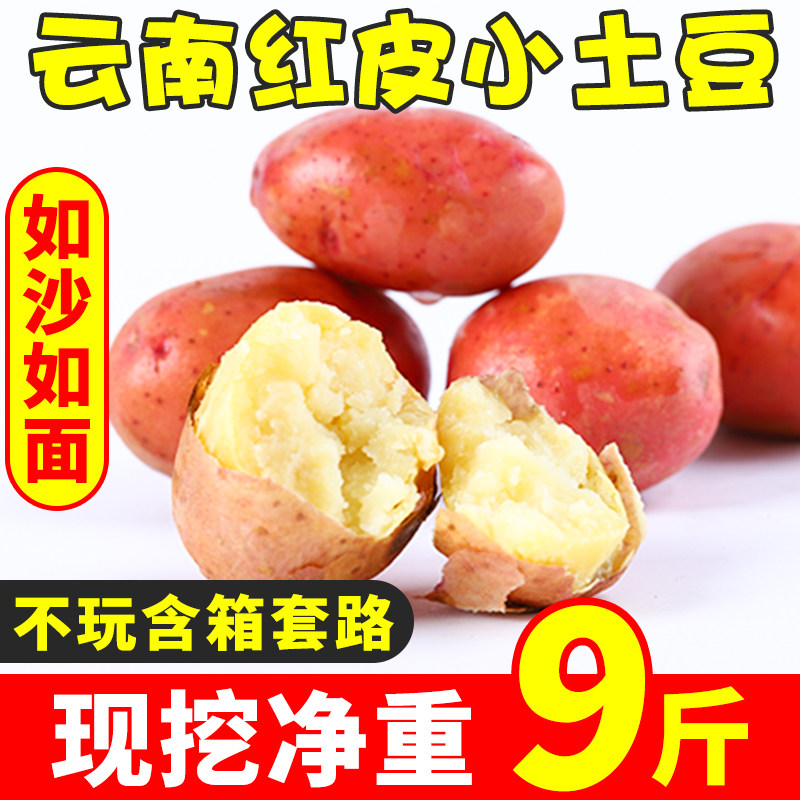 云南小土豆新鲜9斤马铃薯农产品蔬菜洋芋火锅食材黄心红皮土豆10