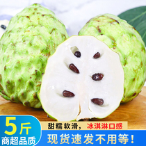 Yunnan Fenglei Sakago 5 catties of fresh fruit Lin Dried Lychee Big Fruit Buddha head Moonie fruits now off 10