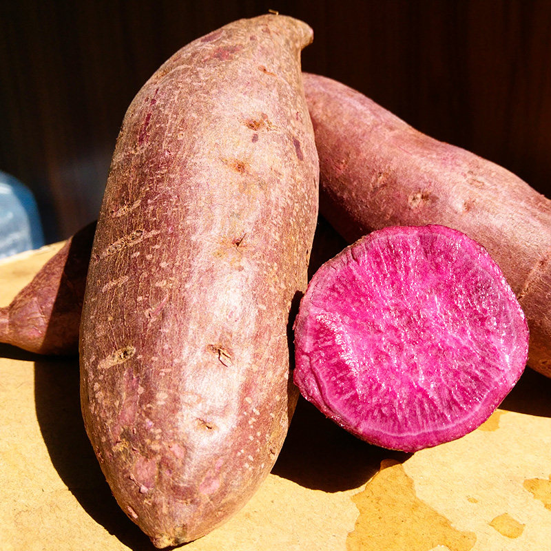 湖北沙地9斤新鲜农家自种批发地瓜 中鲜生番薯