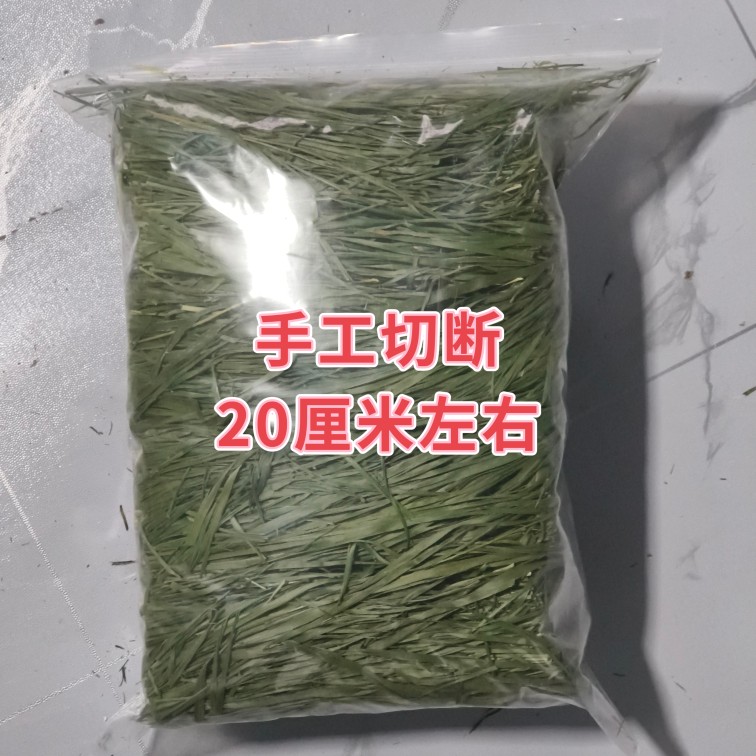 繁星牧草2025新烘干北提摩西草干草草段兔子草龙猫粮食岷县北提 - 图0