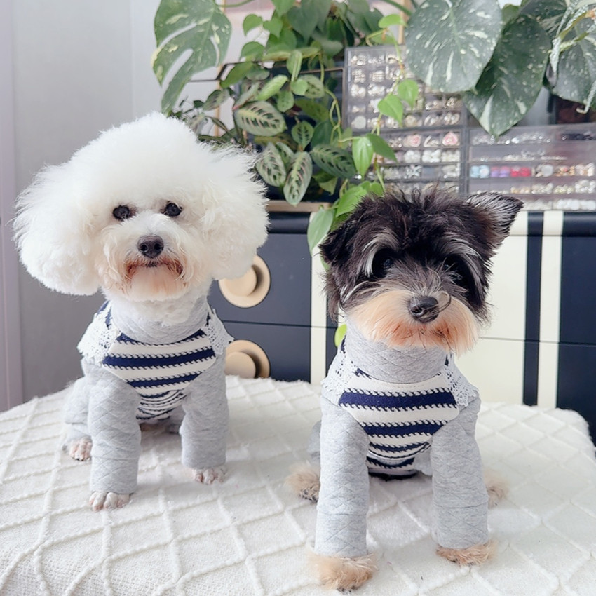 安班公母狗犬秋冬夹棉中厚保暖包肚四脚衣泰迪比熊双排扣全棉牵引,淘宝优惠券,粉丝福利购,淘宝优惠卷