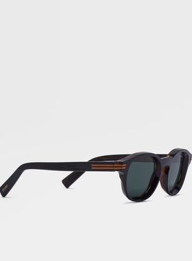 ZEGNA杰尼亚黑色/哈瓦那色太阳镜