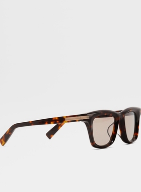 ZEGNA杰尼亚哈瓦那棕色太阳镜