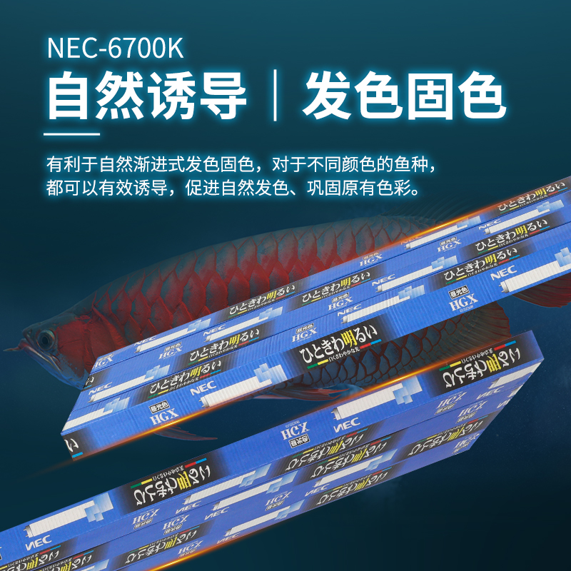 NEC灯管T8龙鱼荧光灯管飞利浦灯管6700K发色灯诱色灯增艳灯965-图3