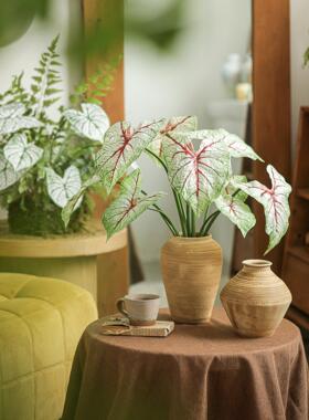 采购产品花样马蹄莲叶片，模拟热带绿色植物，叶片，壁龛插花，入