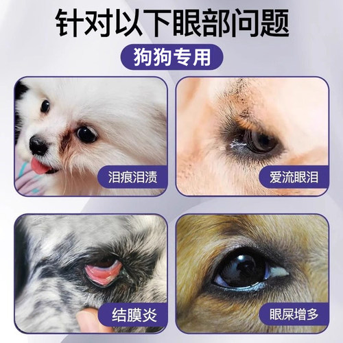 比熊洗眼液去除泪痕狗狗宠物小狗泰迪可搭眼药水专用生理性盐水WQ - 图0