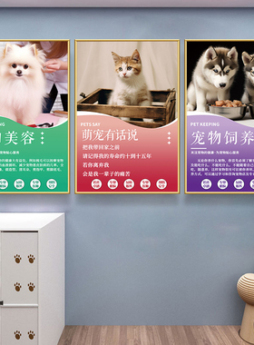 宠物店墙面装饰动物美容海报医院诊所挂画猫狗护理知识文化墙壁画