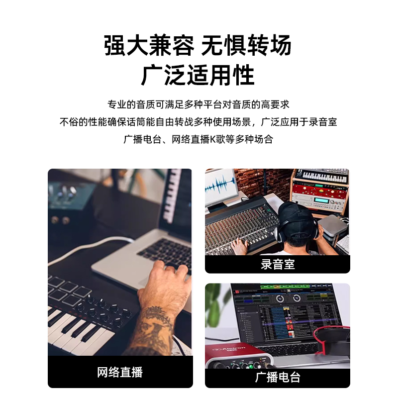 Alctron爱克创CM6 MKII大振膜电容录音麦克风直播主播K歌话筒套装-图2