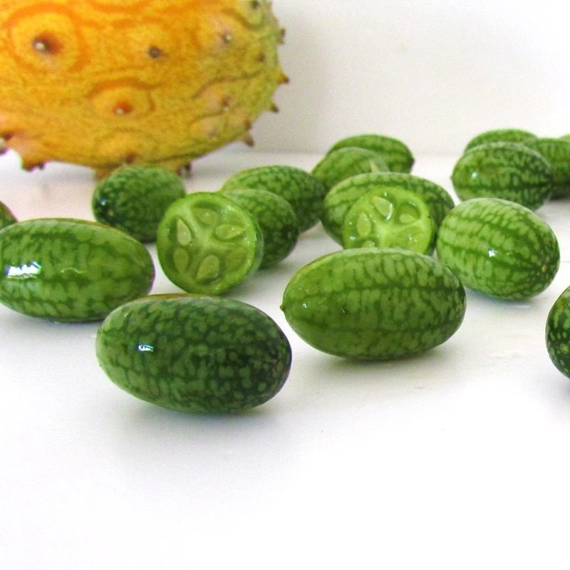 特色拇指西瓜鲜果新鲜网红绿瓢迷你小西瓜脆佩普基诺水果现摘1斤,淘宝优惠券,粉丝福利购,淘宝优惠卷