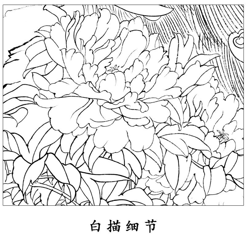 工笔孔雀白描底稿竖幅花鸟田世光牡丹孔雀《富贵绮霞》实物线A081-图1