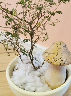 原创手工制作实木蘑菇造型牙签筒