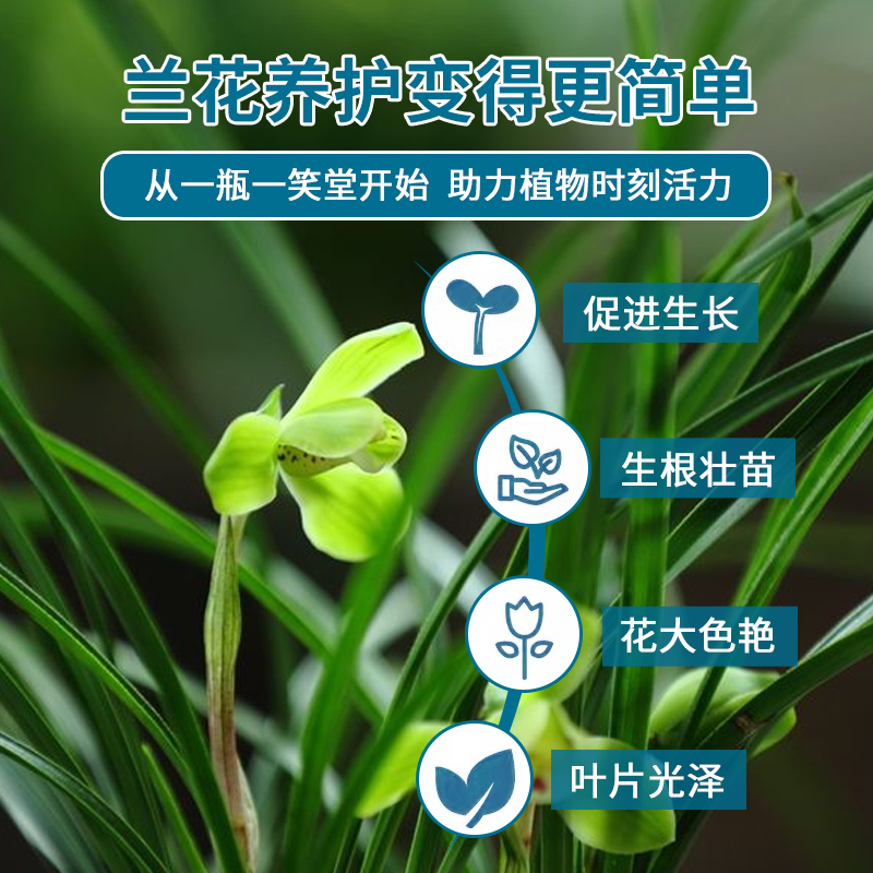 肥料兰花营养液专用肥长效室内液体盆栽家庭园艺肥料 丽人帮 肥料兰花营养液专用肥长效室内液体盆栽家庭园艺肥料 丽人帮