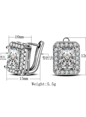 2020 Square 925 Silver Needle Jewelry Big Crystal Stduy