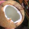Fresh coconut coconut imported from Thailand