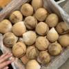 Fresh coconut coconut imported from Thailand
