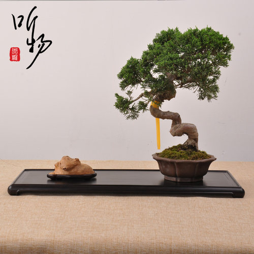 红木雕刻工艺品黑檀木摆件茶具底座托架长方形奇石头花盆佛像底座 - 图2