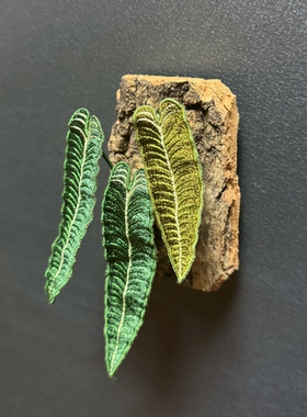 冰箱贴装饰摆件 手工刺绣 植物 火鹤王火鹤后