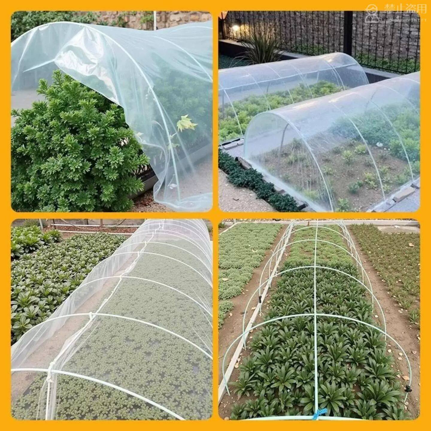 搭棚子支架 农用大棚菜园搭棚支架玻璃纤维杆菜棚保温实心扶苗支,淘宝优惠券,粉丝福利购,淘宝优惠卷