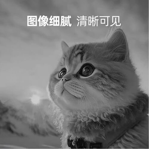 原装兄弟TN2520 TN2520XL粉盒L2508DW打印机硒鼓L2518DW墨盒碳粉L2548DW L2648DW墨粉鼓架L2628DW DR2520 - 图1