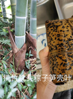 豹纹手工竹叶黄粑竹叶包枕头粽子大竹叶楠竹叶当季新鲜叶子