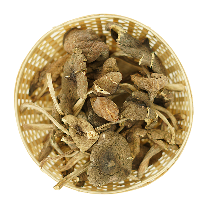 丽江特产鸡枞菌美味鸡枞菌鸡棕菌干货云南特产野生菌 50克_虎窝淘