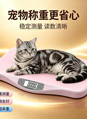 汇宝智能婴儿秤大型地秤