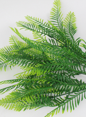 仿真波斯叶塑料草植物背景墙装饰绿色蕨类排草插花家居饰品阳台