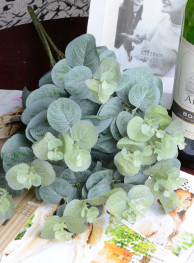 插花绿植尤加利藤条婚庆金钱叶