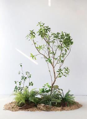 仿真植物造景装饰室内入户玄关