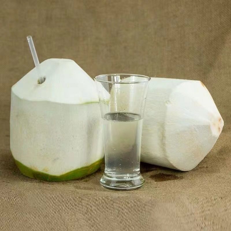 海南椰青新鲜椰子9个装当季孕妇水果椰香皇去皮香水椰子整箱包邮,淘宝优惠券,粉丝福利购,淘宝优惠卷