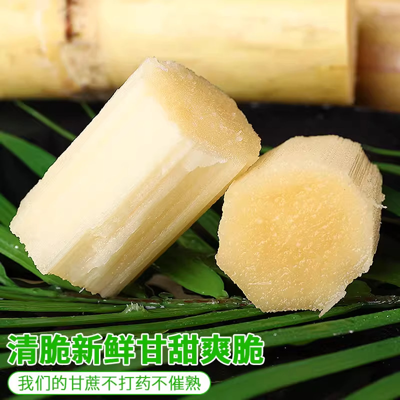 广西正宗木格白玉甘蔗新鲜特产孕妇水果当季整箱玻璃脆种现砍现发,淘宝优惠券,粉丝福利购,淘宝优惠卷