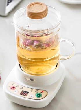 养生壶玻璃杯电热杯自动煮粥陶瓷电炖杯熬汤煲开水杯子炖锅电煮杯