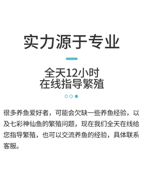 七彩神仙鱼繁殖桶产卵罐燕鱼孵化器神仙鱼产卵桶陶罐紫砂隔离网罩