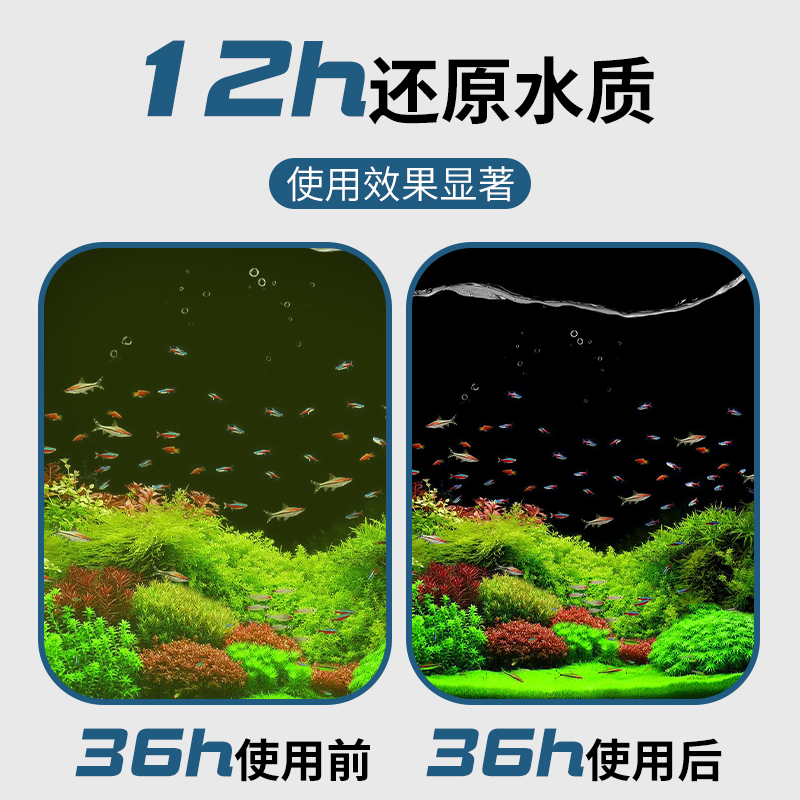 鱼缸大块珊瑚石滤材纯天然精选珊瑚骨水族箱锦鲤鱼池过滤材料造景-图2