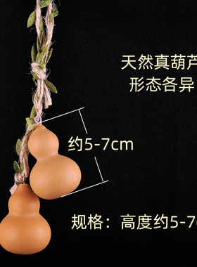 手捻家居客厅办公室壁挂小葫芦